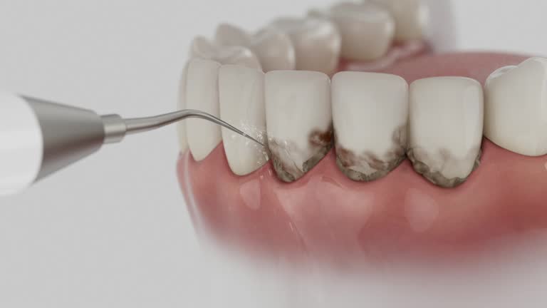 Reliable Dental contractor in Newfield, NJ by Dentist Open Now
